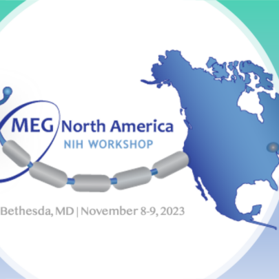 MEG NA workshop logo.
